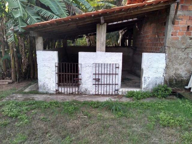 Excelente Sítio (lazer,morar ou investir) - Foto 9