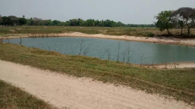 FAZENDA A VENDA EM PANTANAL DO PAIAGUÁS/CORUMBA-MS-Pecuária - Foto 7