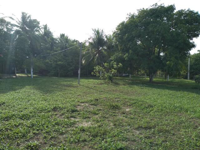 Excelente Sítio (lazer,morar ou investir) - Foto 3