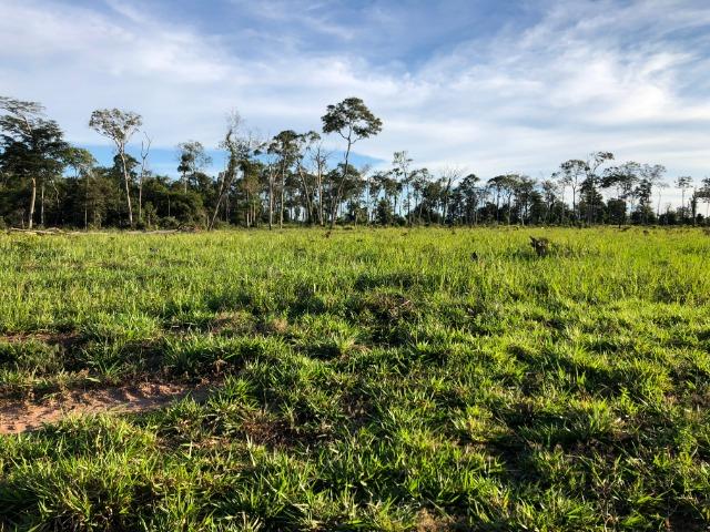 68 alqueires, 58 alqueires de pasto, Nova Marilãndia-Pecuama-MT - Foto 12