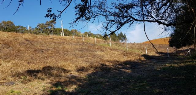 Vendo chácaras a partir de 5000m² a 30 km do Ceasa,Leia o Anuncio! - Foto 20