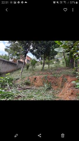 Granja - Foto 4