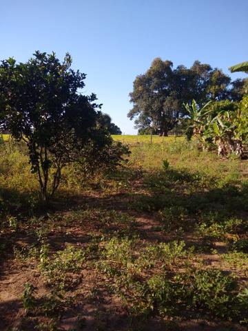 Vendo fazenda em Gandu BA - Foto 2