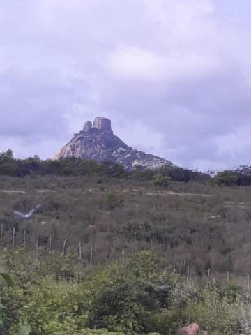 Fazenda à venda, 1300000 m² por r$ 185.000,00 - zona rural - forquilha/ce - Foto 14