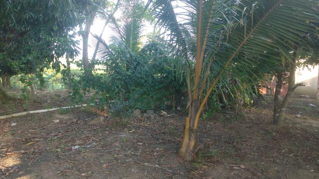 Vendo uma casa com sítio - Foto 11