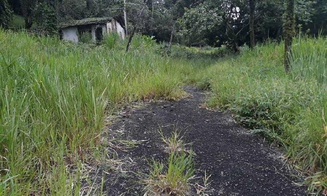 Excelente Propriedade em Guapimirim Estrada Rio Teresópolis 48.000m2 R$ 170 mil - Foto 9