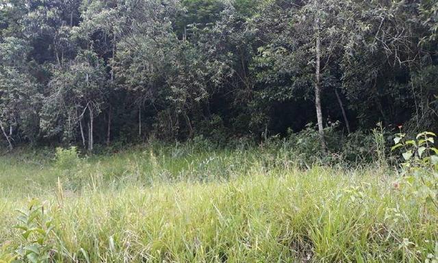 Excelente Propriedade em Guapimirim Estrada Rio Teresópolis 48.000m2 R$ 170 mil - Foto 10