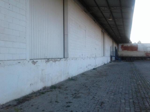 Galpão comercial para locação, rio pequeno, são josé dos pinhais. - Foto 5