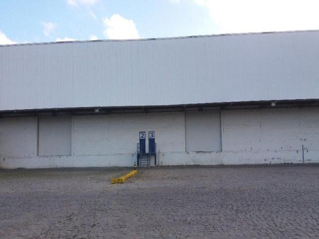 Galpão comercial para locação, rio pequeno, são josé dos pinhais. - Foto 2