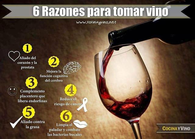 Vinhos direto da Colônia - Foto 4