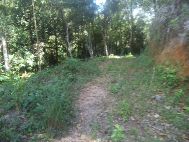 Marechal - Foto 2