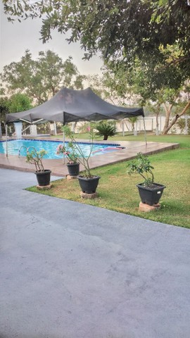 ALUGUEL RANCHO em Itacaiú nas Margens do Rio Araguaia ao Lado do Porto Principal - Foto 3