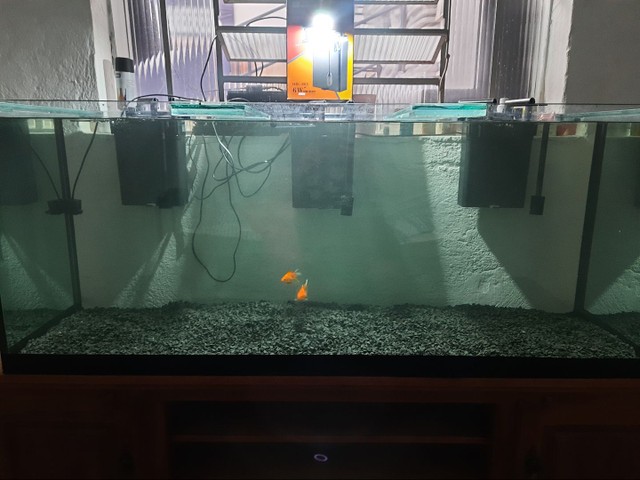 Aquario 450L completo só colocar pra funcionar