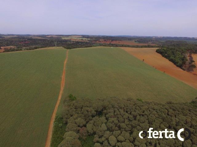 Fazenda na Lapa - Foto 8