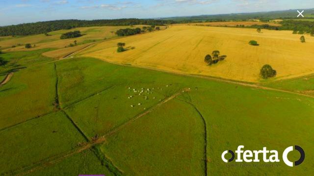 Fazenda na Lapa - Foto 3