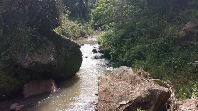 Chácara em Fazenda Souza - Foto 11