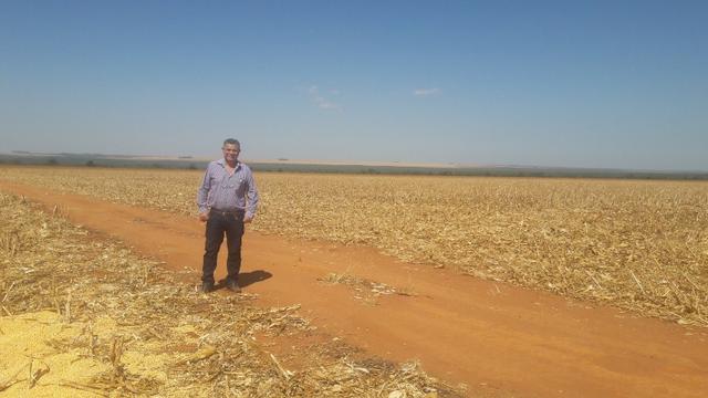 Troco Paraná, 900,00 Hectares-MT, aceita-se imóveis Paraná - Foto 3