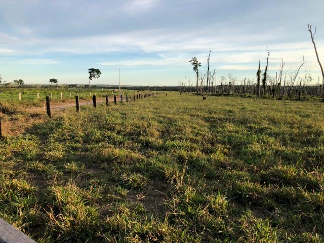 68 alqueires, 58 alqueires de pasto, Nova Marilãndia-Pecuama-MT - Foto 4