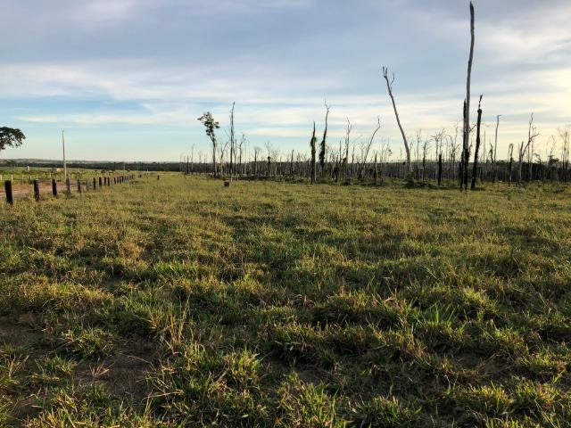 68 alqueires, 58 alqueires de pasto, Nova Marilãndia-Pecuama-MT - Foto 2