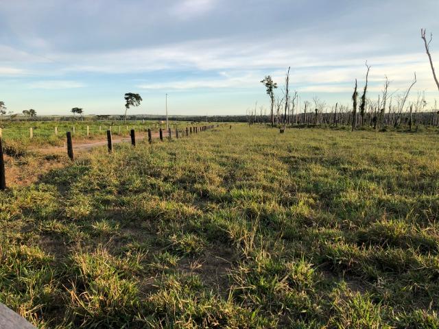 68 alqueires, 58 alqueires de pasto, Nova Marilãndia-Pecuama-MT - Foto 5
