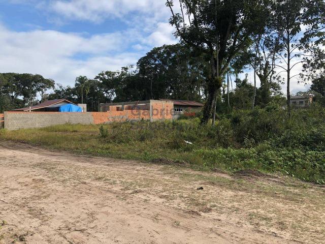 Terreno à venda, 288 m² por R$ 57.000 Brandalize - Itapoá/SC