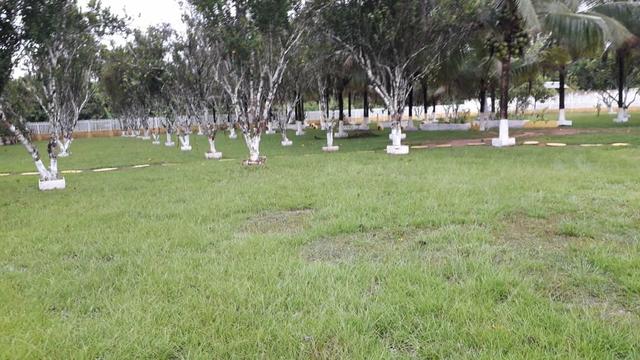 Linda chácara no ramal do Gavião - Foto 14