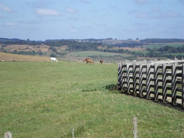 Ref. 735 - Fazenda de 60 Alqueires, 40 alqueires de planta, 15 alqueires de pasto - Foto 16