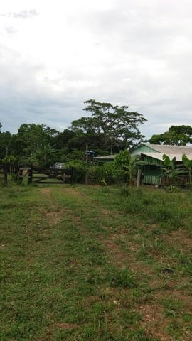 Colônia - Foto 11