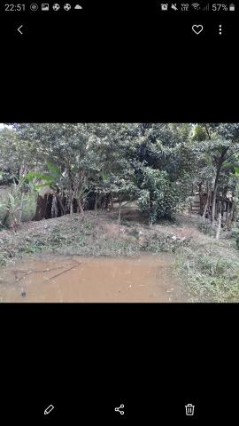 Granja