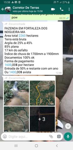 Fazenda em "fortaleza do nogueira" - Foto 6