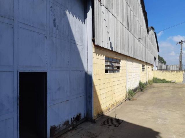 Alugue sem fiador, sem depósito - consulte nossos corretores - galpão para alugar, 1600 m² - Foto 4