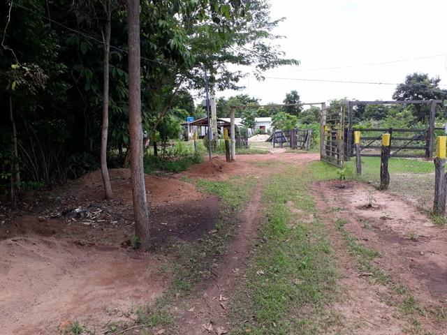 Mini Chácara na beira do Rio Araguaia - Foto 2