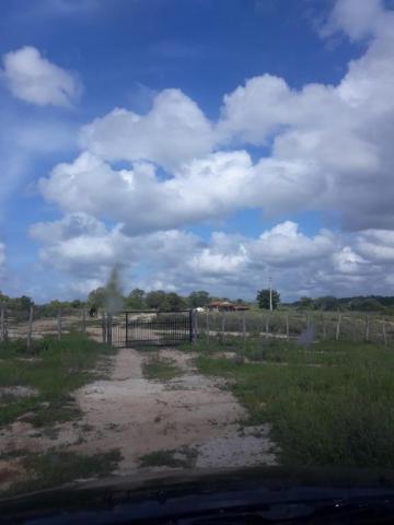 Fazenda à venda, 1300000 m² por r$ 185.000,00 - zona rural - forquilha/ce - Foto 5