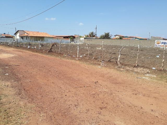 Terreno Luis Correia Margem PI-116 - Foto 5