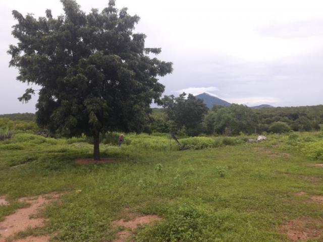 Fazenda à venda, 1300000 m² por r$ 185.000,00 - zona rural - forquilha/ce - Foto 10