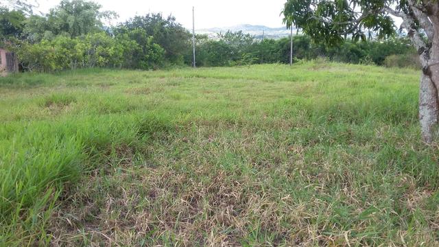 Vendo SÍTIO bom jardim - Foto 5
