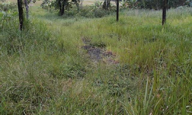 Excelente Propriedade em Guapimirim Estrada Rio Teresópolis 48.000m2 R$ 170 mil - Foto 15