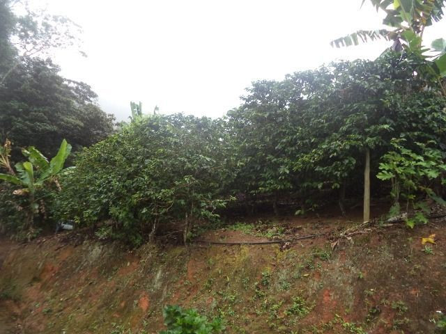 Marechal - Foto 5