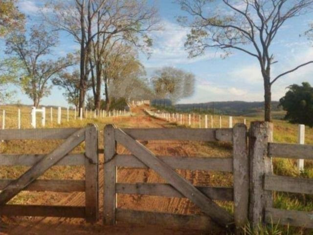 Fazenda 648 alqueires Pecuária - Echaporã- SP - F200503