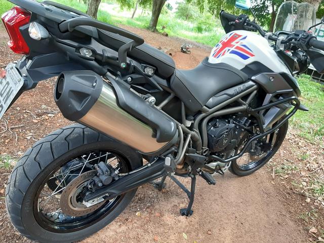 olx triumph tiger