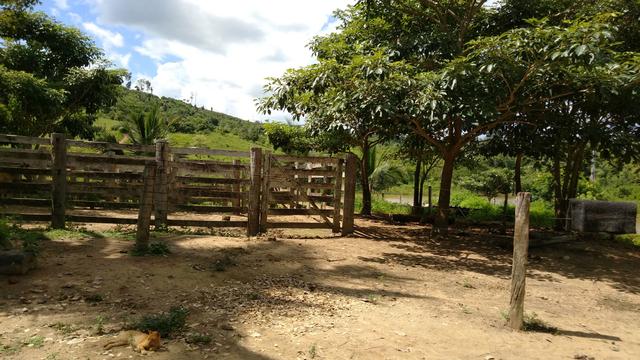 Vende-se terra de 5 Alqueires - Foto 6