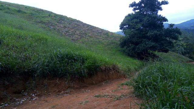 Sitio viana aceito casa em campo grande - Foto 13