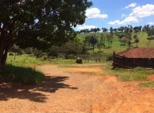 Oportunidade - Linda fazenda á venda R$850 mil . 700 hectares! Possibilidade parcelamento - Foto 5