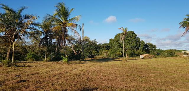 Vendo lote de chácara com uma area de 3.640m2 ou 28 x 130 financiamento direto com o dono
