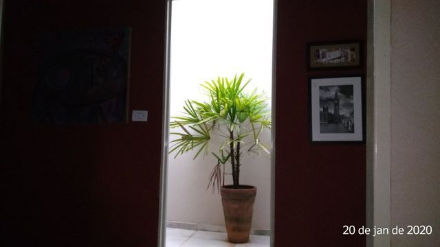 Casa à venda-Assis/SP - Foto 2