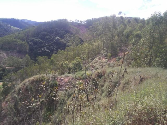 Paraju - Foto 6