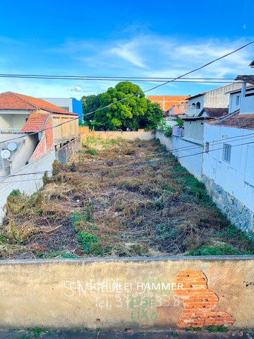Vendo Lote Baixo Guandu  - Foto 3