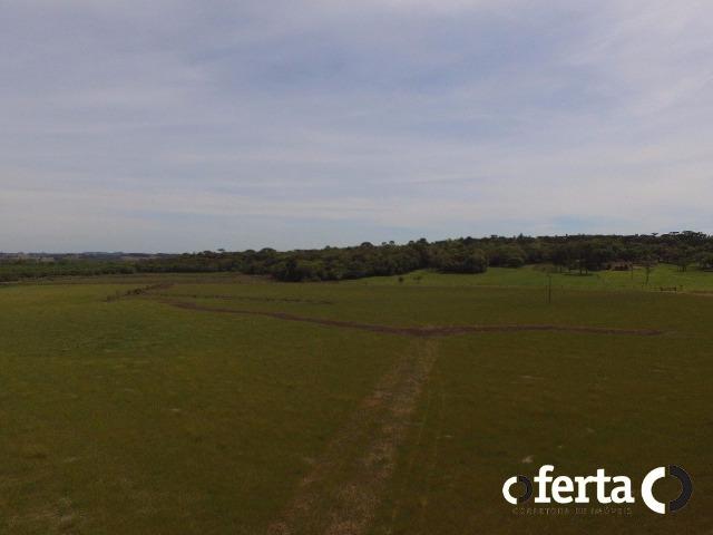 Fazenda na Lapa - Foto 4