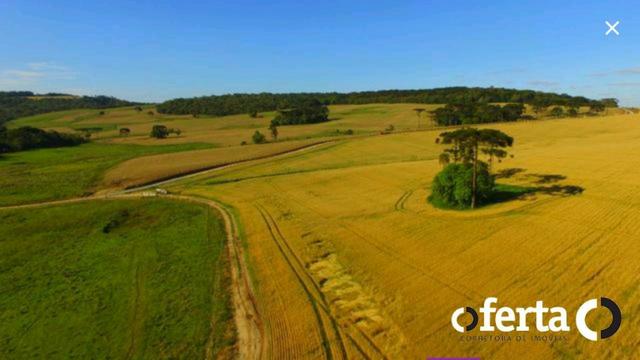 Fazenda na Lapa - Foto 2