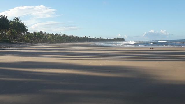 Lotes Taipu de Fora - Península de Maraú - Bahia - Foto 16